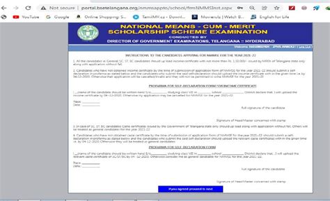 nnmse|NMMSE Instructions for online application. .